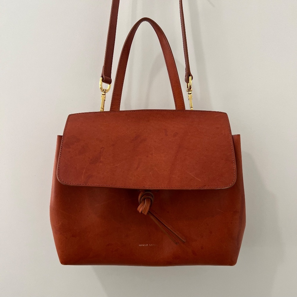 Mansur Gavriel Mini Lady Day Bag with Gold Hardware - Picture 1 of 16